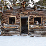 Ghost Towns and Mining Camps of Nevada and California.