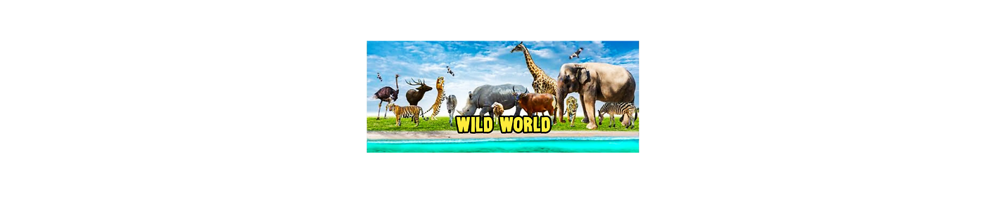 WildWorldHB