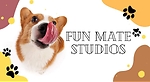 Fun Cat Studios