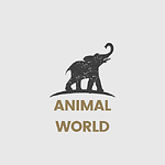 ANIMAL WORLD