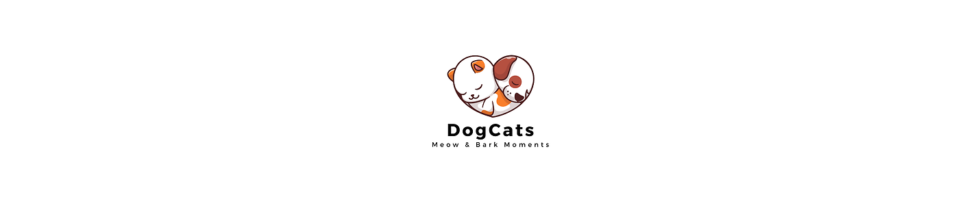 Meow & Bark Moments