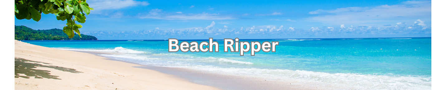 BeachRipper
