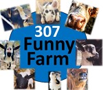 307 Funny Farm