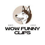 Wow Funny Clips