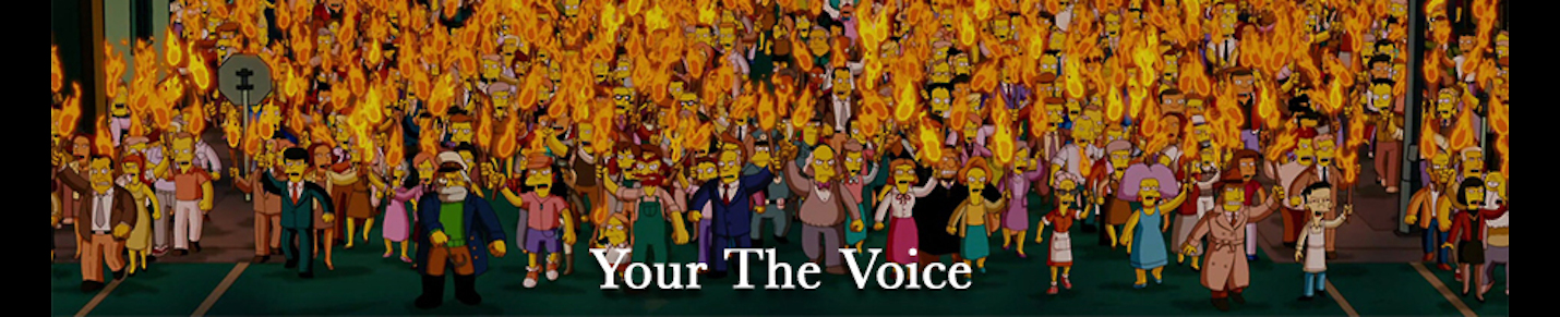 You're The Voice America