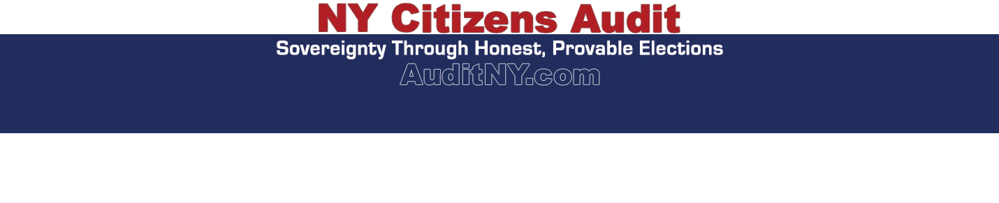 New York Citizens Audit
