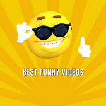 Funny Videos For Your Entertainment