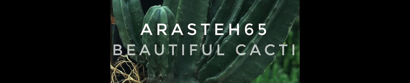 cactusarasteh