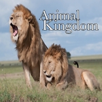 AnimalKindom