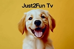 Just2FunTv