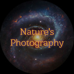 Nature's Photography