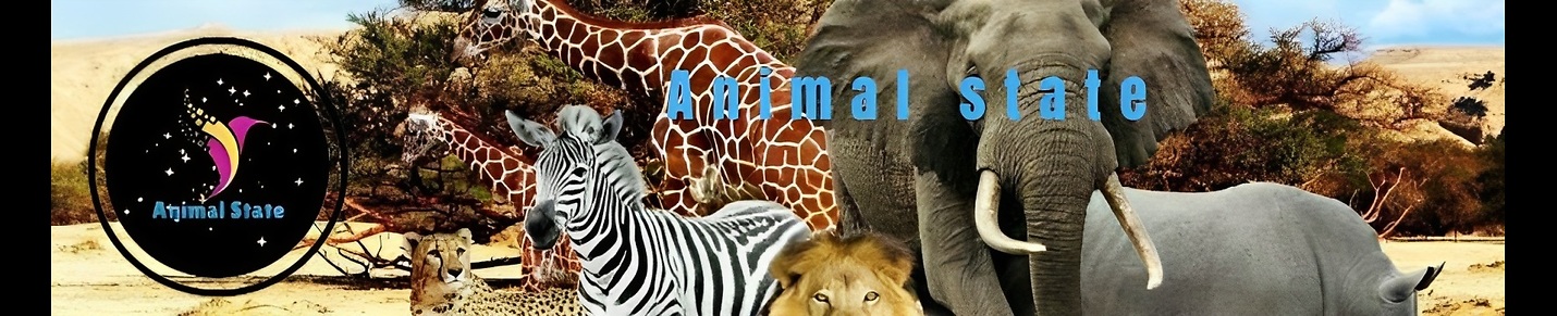 Animal State190 | WildWorld Wonderful ZooNetwork