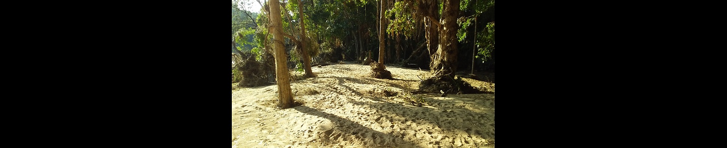 The Barron River Esplanande, Kuranda (Post Cyclone Jasper)