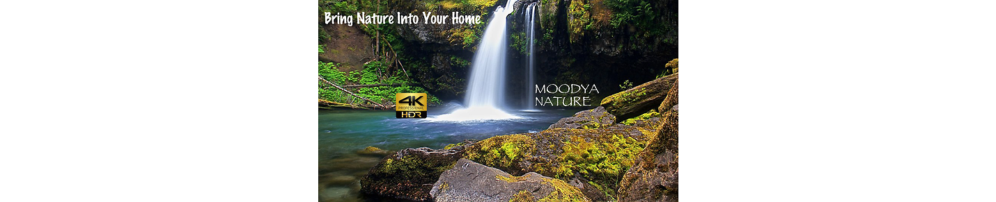 MOODYA HDR Nature Videos