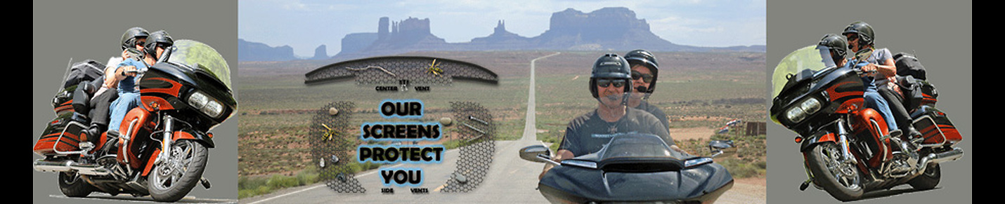 Road Glide® Vent Screens