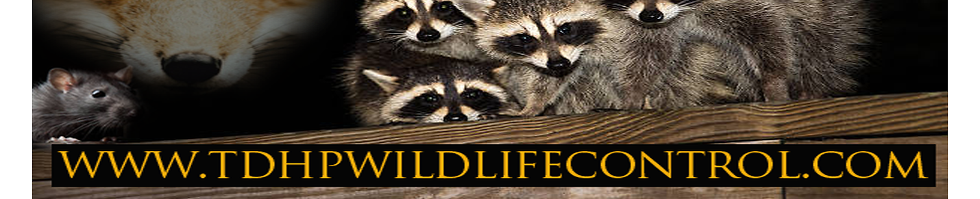 TDHP Wildlife Control