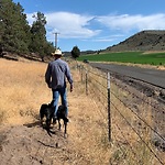 Fencing contractor Southern Oregon | https://barbandplank.com/services/