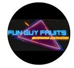 FunGuyFruits