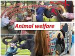 Animalwelfare02