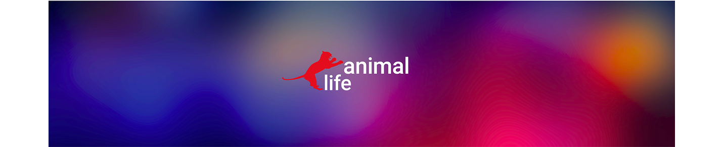 animal life channel