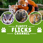 Fluffy Flicks Channel