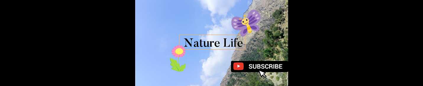 Nature life Beautiful videos