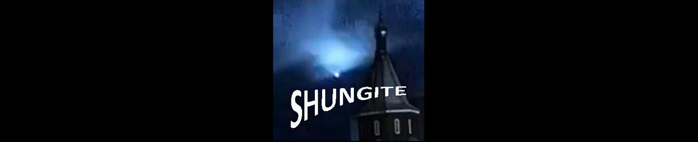 Shungite Reality