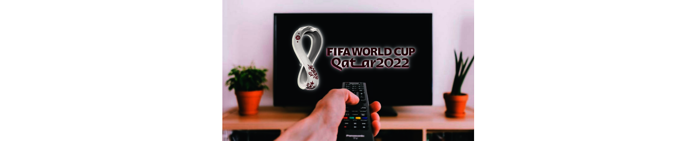 Qatar World Cup 2022