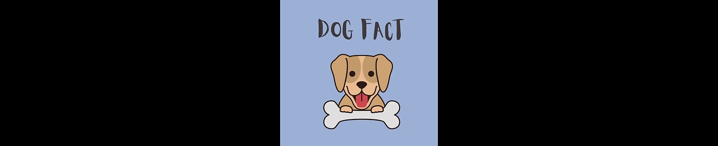 Curious Facts About Dogs