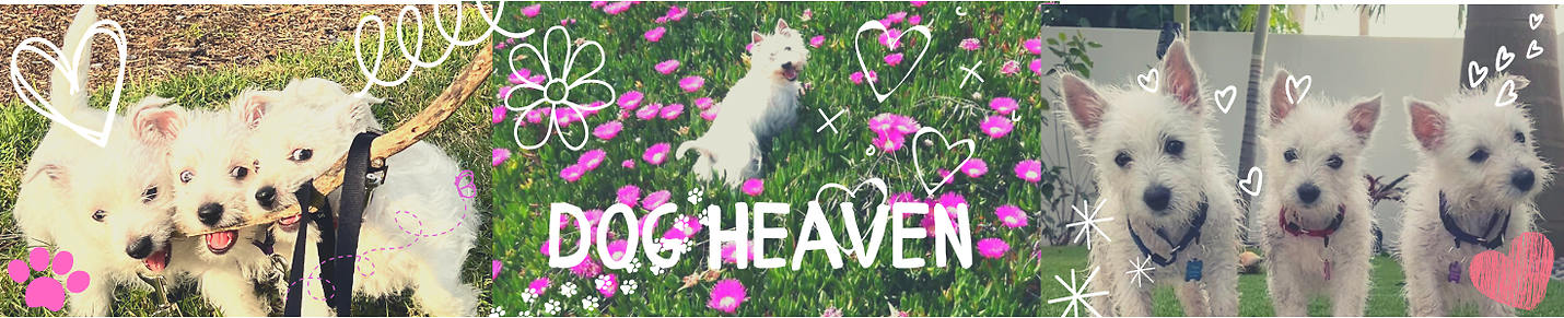 Dog Heaven Videos