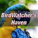 BirdwatchersHaven