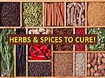 Herbs to cure