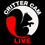 Critter Cam Live