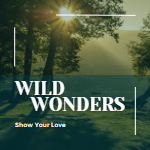 Wild Wonders