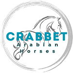 Crabbet.com - Home of the Crabbet Arabian Horse