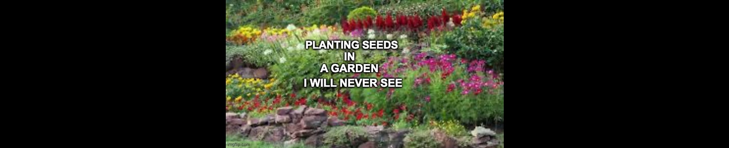 Planting Seeds in a Garden I Will Never See
