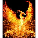 phoenixstatus88