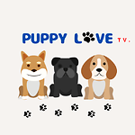 PuppyLoveTV