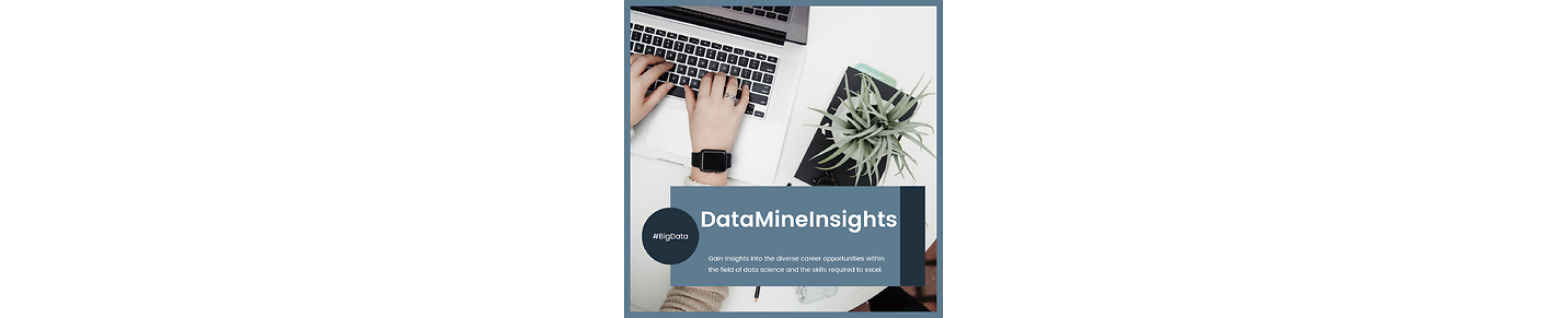 DataMineInsights