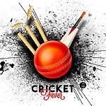 Cricketfanworld