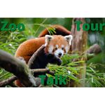 Zoo review