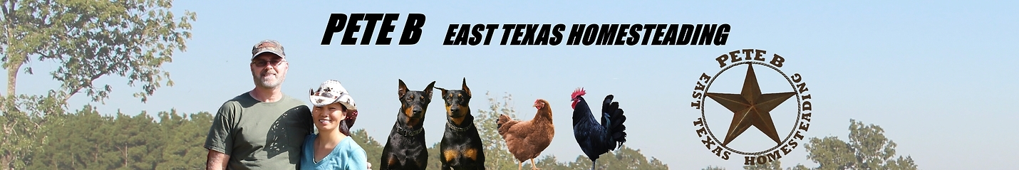 Pete B: East Texas Homesteading