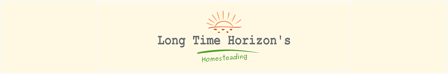 Long Time Horizon's Homesteading