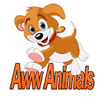 AwwAnimalses