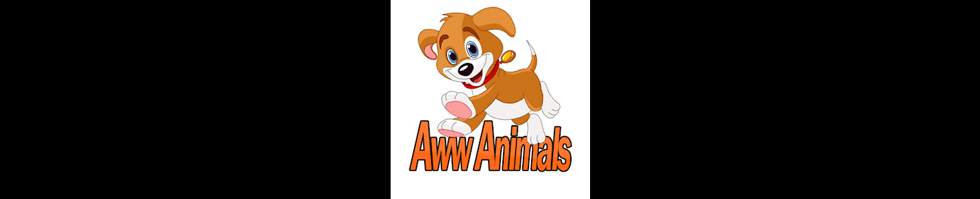 AwwAnimalses