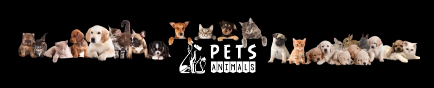 Pets Animals