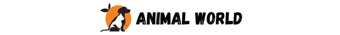 Animal  World