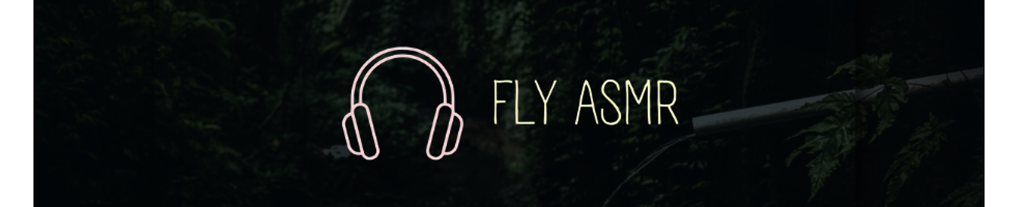 FLY ASMR