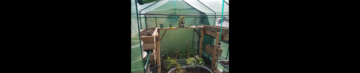My Tiny Greenhouses