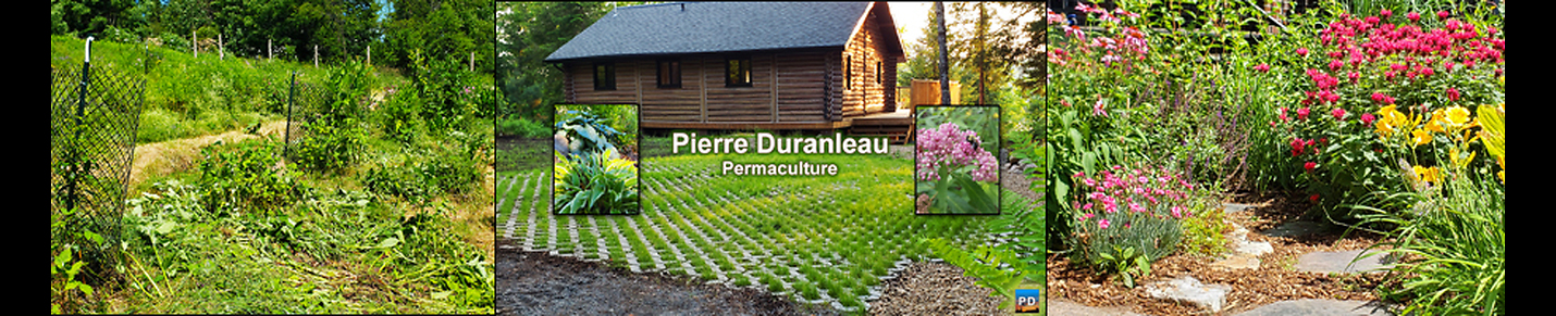 Permaculture with Pierre Duranleau